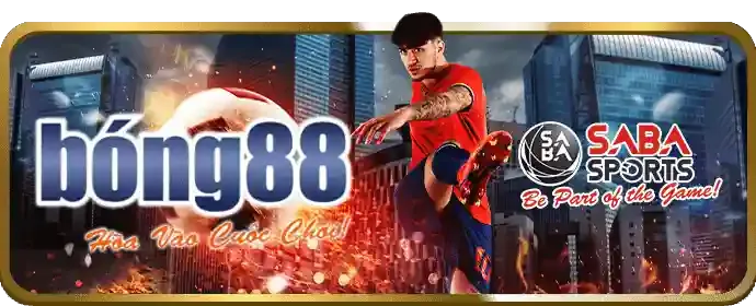 Tối ưu hóa trải nghiệm di động hbbet